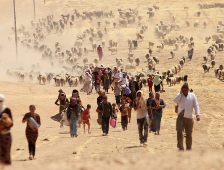 Yazidi genocide