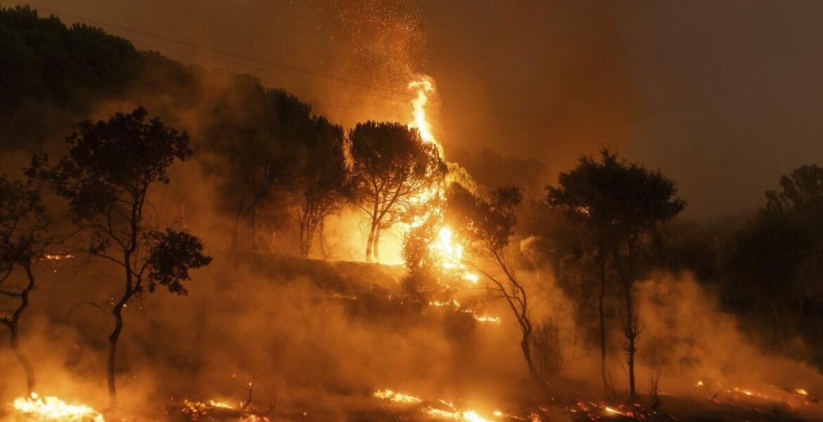 A forest on fire in the village of Dikela, near Alexandroupolis town, in the northeastern Evros region, Greece, Tuesday, Aug. 22, 2023.