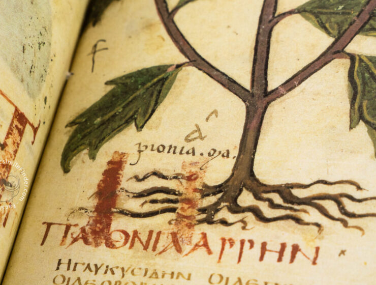 dioscorides neapolitanus facsimile edition 14