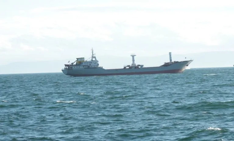 Turkish-flagged ship hits mine in Black Sea
