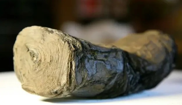 AI Reads Greek Words on Unopened Herculaneum Scrolls for First Time