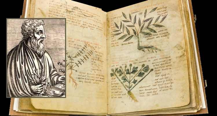 World's first pharmacology book compiled by the Greek Pedanius Dioscorides