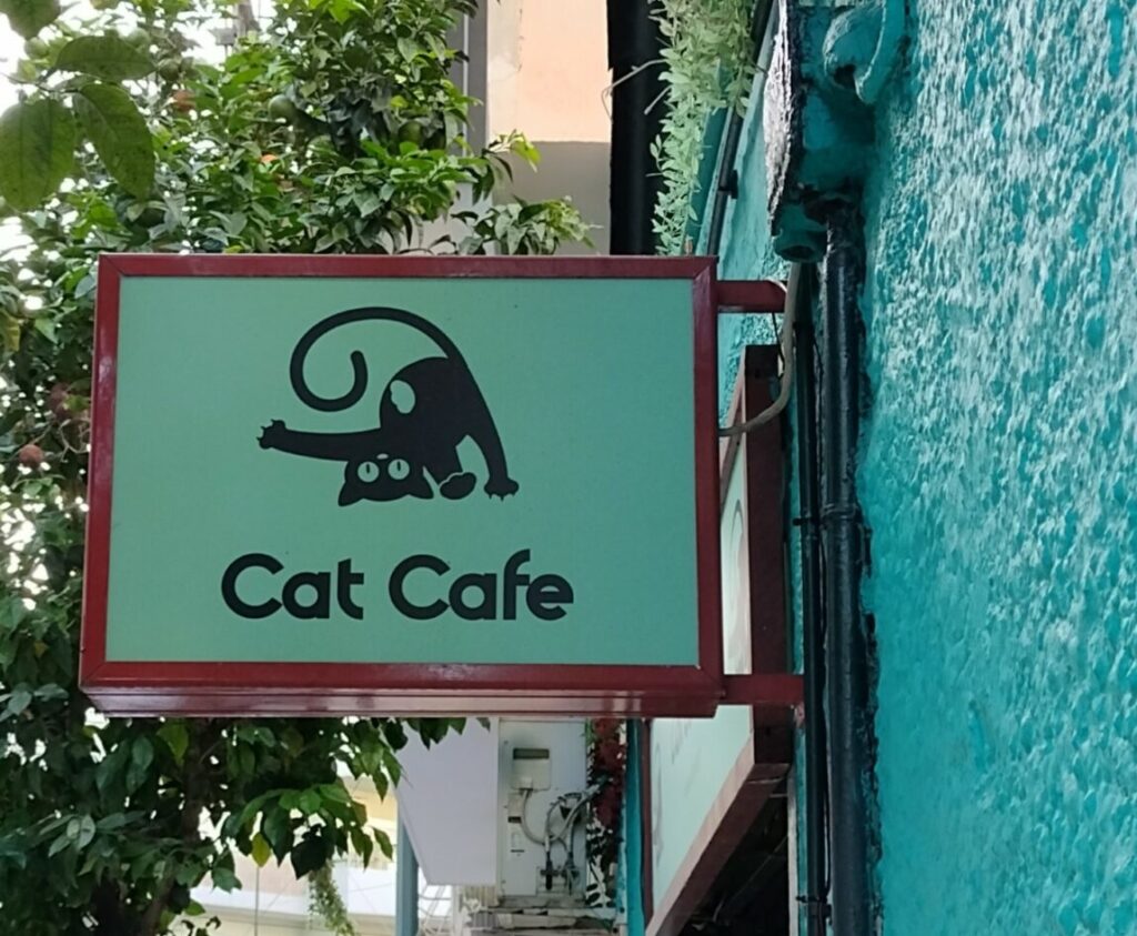 Cat Cafe Athens