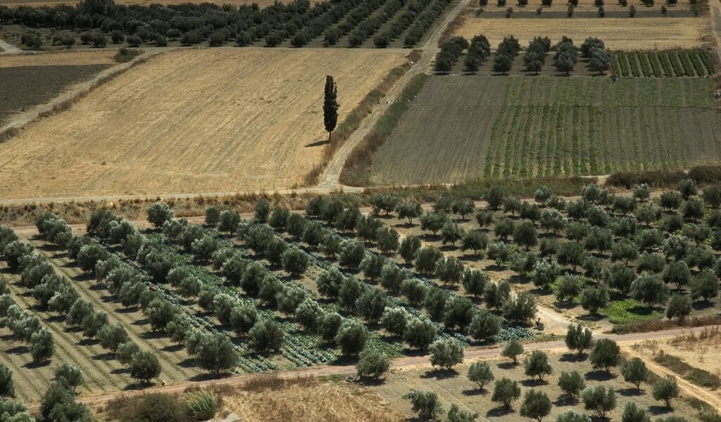 Greek agriculture greece india