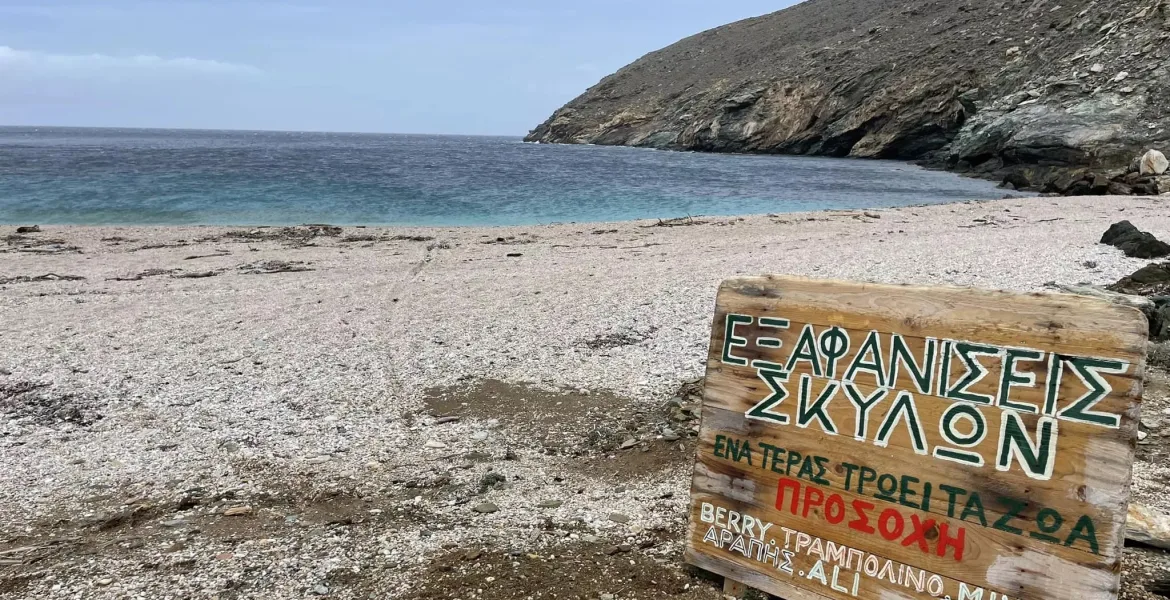 Andros beach with dog warning sign