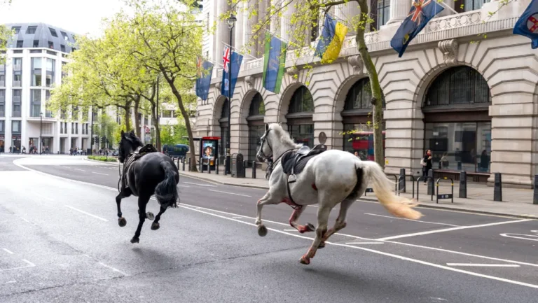 Escaped British Army Horses Cause Chaos in Central London