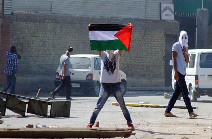 palestine flag kashmir