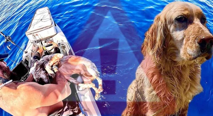 Greek TikToker rescued a dog in the sea off Paros!