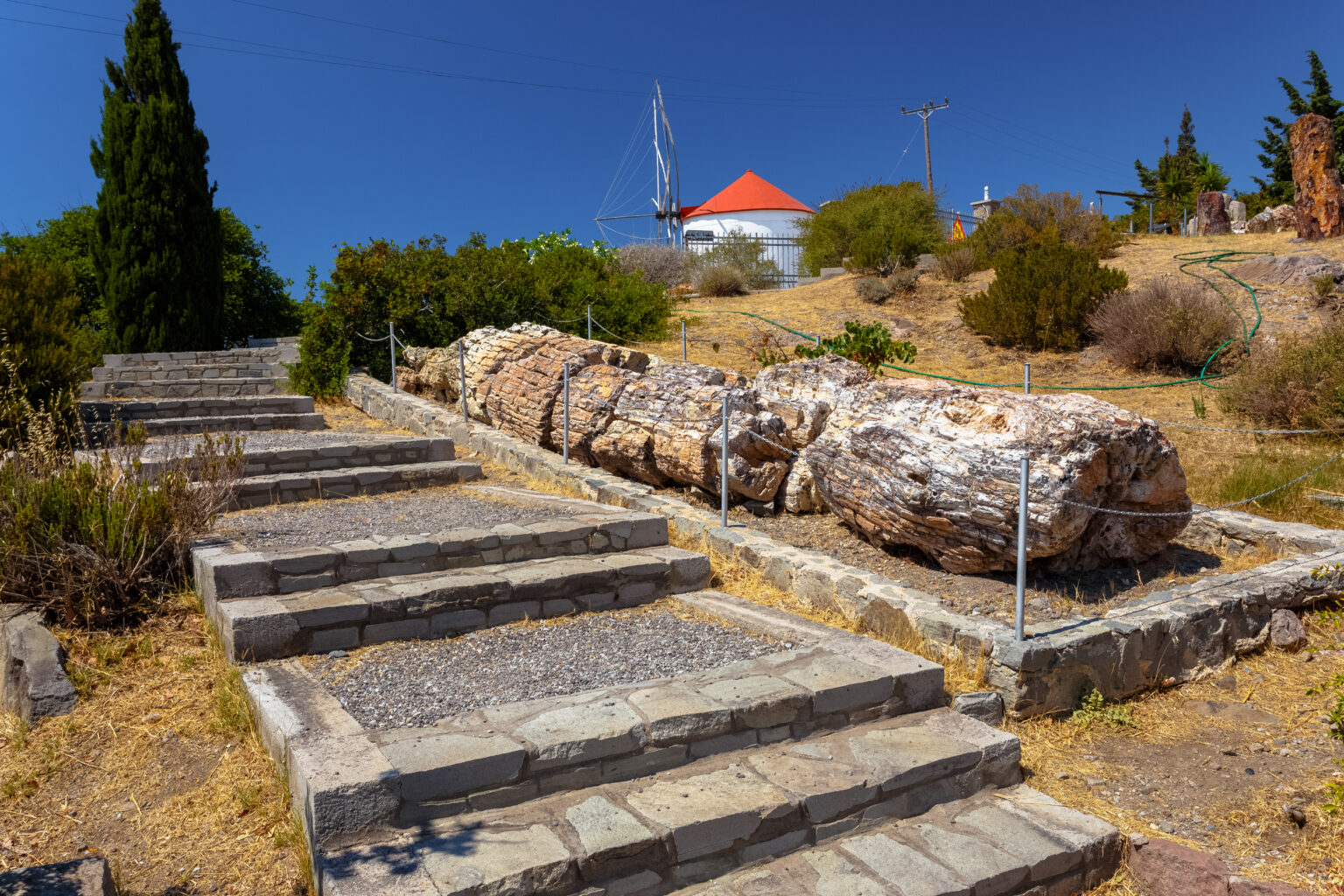 Petrified Forest of Lesvos