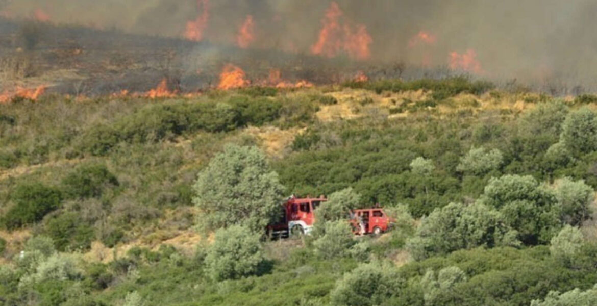 Climate Crisis and Civil Protection Minister Vasilis Kikilias issued a stern warning on Friday, urging citizens to remain vigilant and cooperate fully with authorities due to the heightened risk of forest fires across the country.