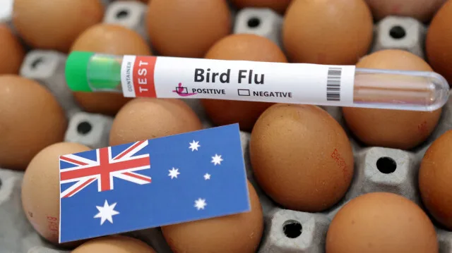 Australia, bird flu, poultry farm, Victoria, egg supply, avian influenza