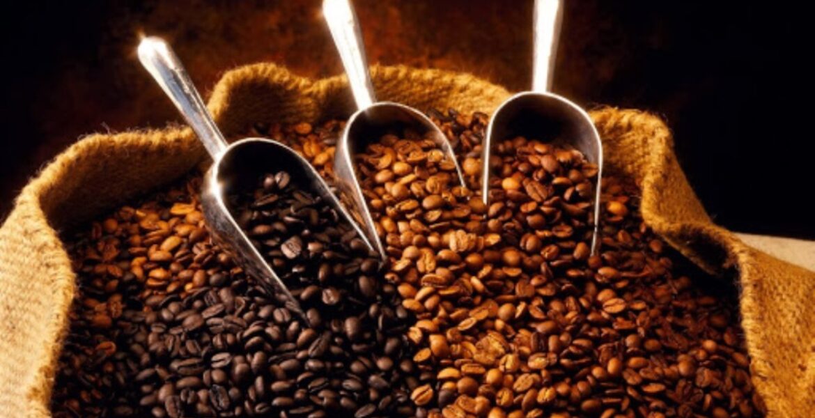 athens coffee festival