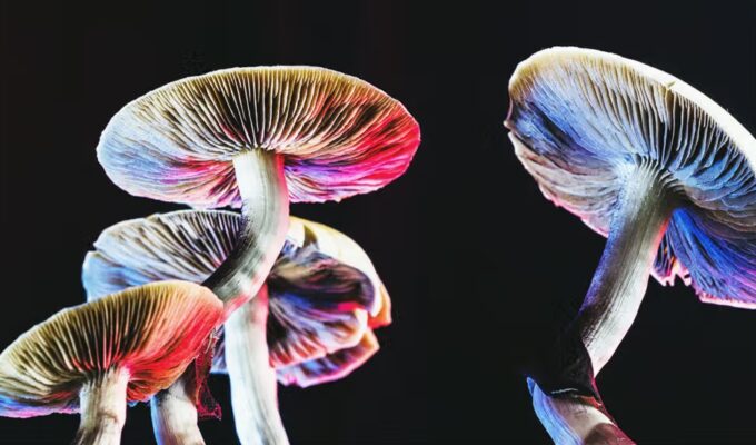 psilocybin depression magic mushrooms