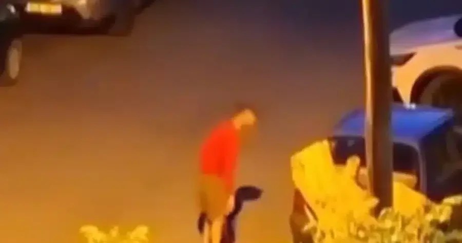 A 34-year-old man in Kalamaria, Thessaloniki, was arrested for brutally killing a kitten and faces felony charges for animal cruelty, drug possession, and illegal weapons possession after neighbors’ video evidence led to his identification.