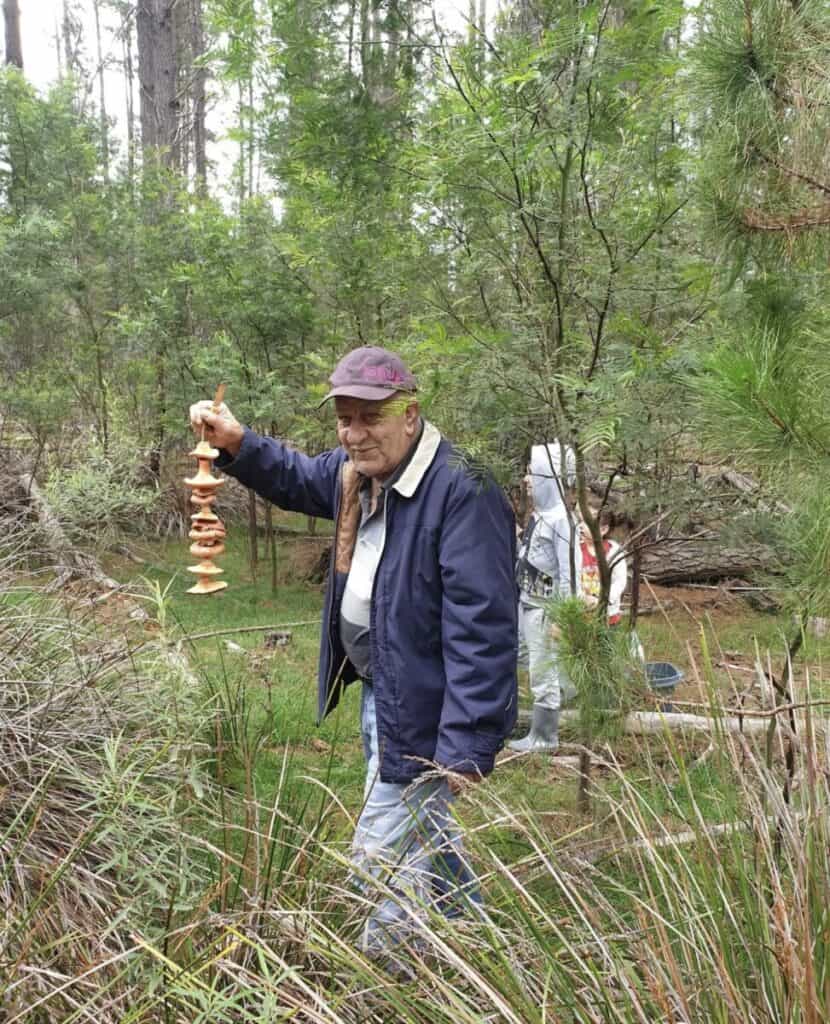 The Traditional Plate