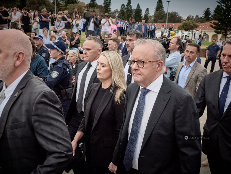 Prime Minister Anthony Albanese was confronted by an agitated protestera