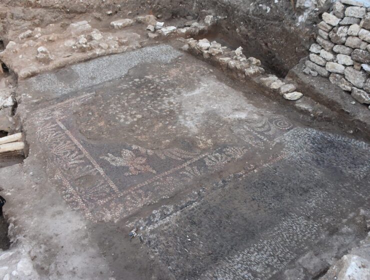 In the excavations of the Balatlar Building Complex, gravel stone mosaics belonging to the Hellenistic period have been uncovered, Sinop, Türkiye, June 22, 2023. (IHA Photo)