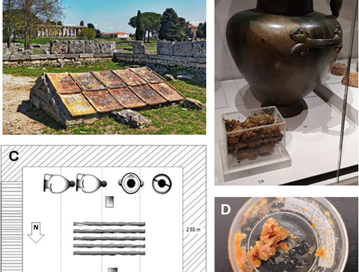 Mystery Sticky Goo in 2,500-Year-Old Jars Linked to Ancient Greek Rituals