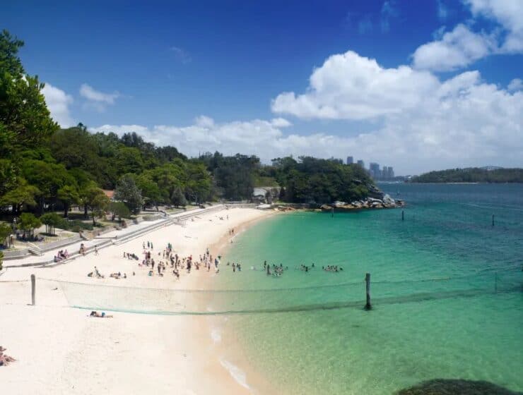 A 12-year-old boy remains in critical condition at Sydney Children's Hospital after a large shark mauled both his legs while he was jumping off rocks at Nielsen Park's Shark Beach in Vaucluse on Sunday afternoon, January 18, 2026, with five friends witnessing the horror and authorities closing the beach while searching for the shark.