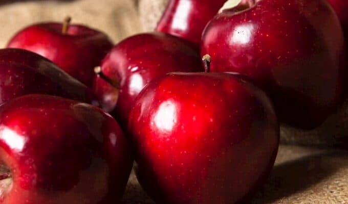 Milo Kastorias are red and yellow apples cropped from the apple trees of the family Rosaceae and the sub-family Pomoideae in the prefecture of Kastoria. The red apples are of the varieties Starking, Starkrimson, IDR Delicious, Red Chief and the yellow ones are of the varieties Golden Delicious, Jonagold and Granny Smith.