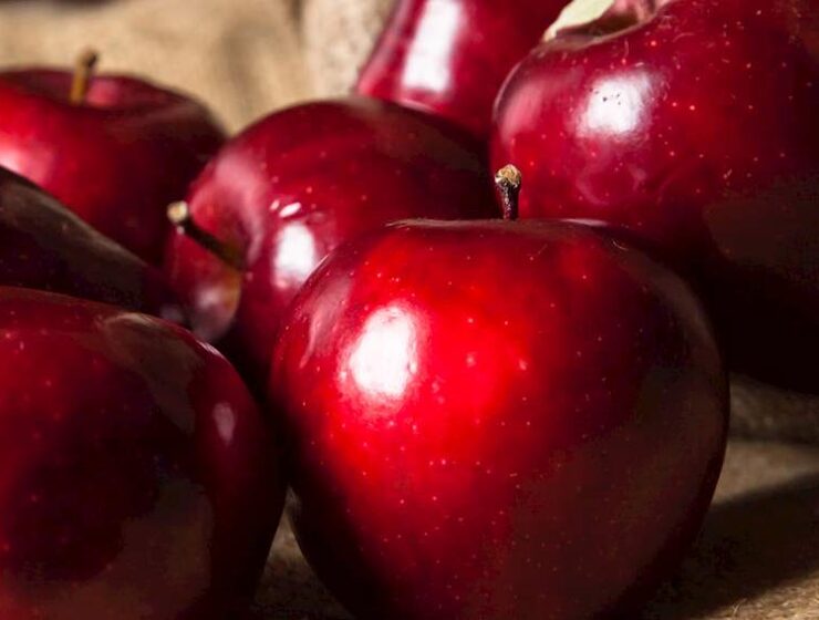 Milo Kastorias are red and yellow apples cropped from the apple trees of the family Rosaceae and the sub-family Pomoideae in the prefecture of Kastoria. The red apples are of the varieties Starking, Starkrimson, IDR Delicious, Red Chief and the yellow ones are of the varieties Golden Delicious, Jonagold and Granny Smith.